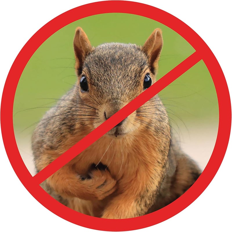 Slinky Just Play Scram, Squirrel by , Squirrel-Proof Bird Feeder Accessory that Guards Bird Seed, Kids Toys for Ages 5 Up by Just Play - Image 4